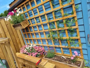 Garden planter handyman ipswich
Property maintenance